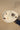Sombrero (White Monarch Butterfly) (Ceramic Decorative Piece)