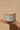 Arroz con Leche