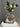 Mini Guanajuato Floral Vase #5