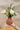 Ancestral Michoacán Vase (orange small)
