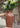 Michoacan Vase Brown - Style H