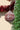 Estado de Mexico - Chocolate Brown Ornament