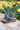Jardín Tequilita Set