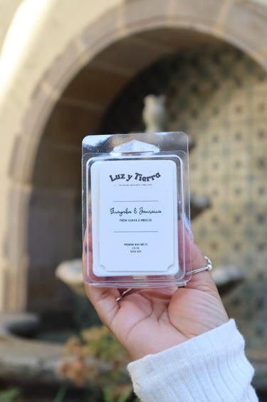 Guayaba & Jamaica Wax Melts