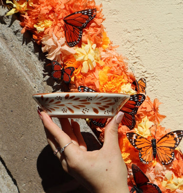 Tierra Cálida | Handmade Mexican Ceramic Soap Dish