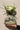 Flor de Campo Vase