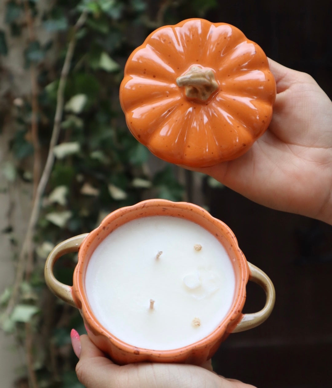 Mini Calabaza 🎃