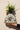 Sol y Luna Vase (B)