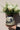 Pajarito Vase