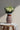 Flores de Guanajuato Vase (Brown)