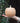 Parches de calabaza