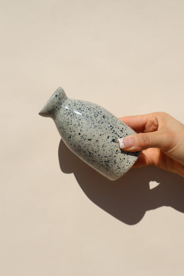 Modern Mexican Speckled Sake Set (4 piece)