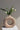 Guanajuato Floral Vase #7