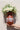 Mexican Rustic Brown Vase