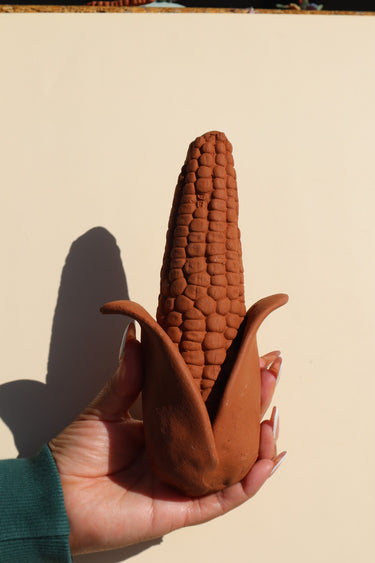 Maíz 🌽