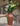 Michoacan Vase Brown - Style H