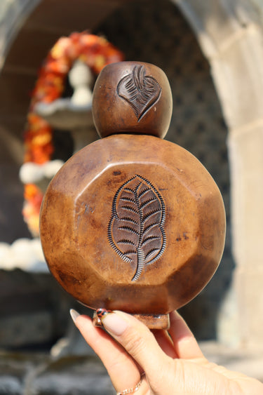 Oaxaca  Tequilero Hoja 🍂