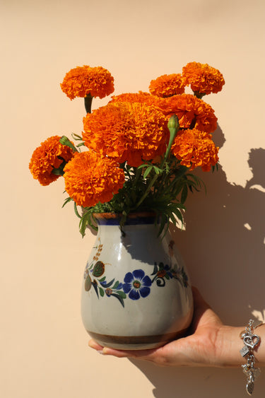 Pajarito Vase