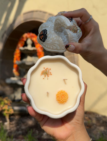 PREORDER: Calabacita (White Monarch + Cempasúchil) 🧡 (10-12 WEEKS TO RECEIVE)