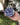 Cobalt Blue | Mini Ceramic Wall Platito | Handmade in Mexico