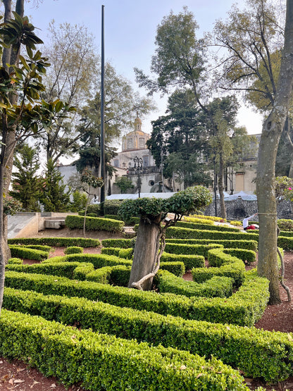 Colonia Del Carmen