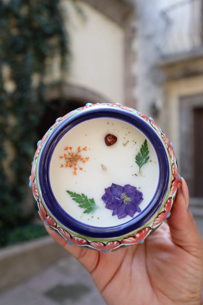 Estrella de Puebla (multicolor)